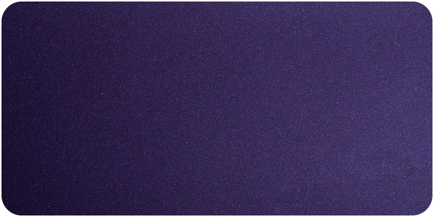 Mountain Aster Purple