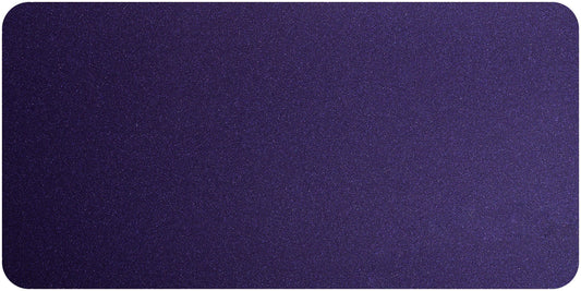 Mountain Aster Purple