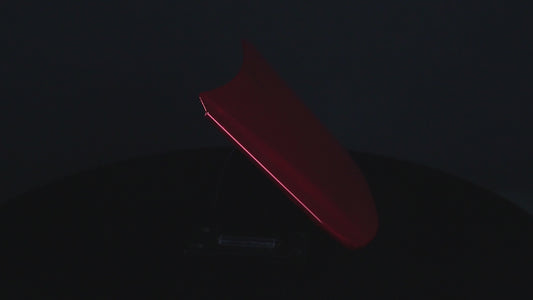 Super Chrome Begonia Red