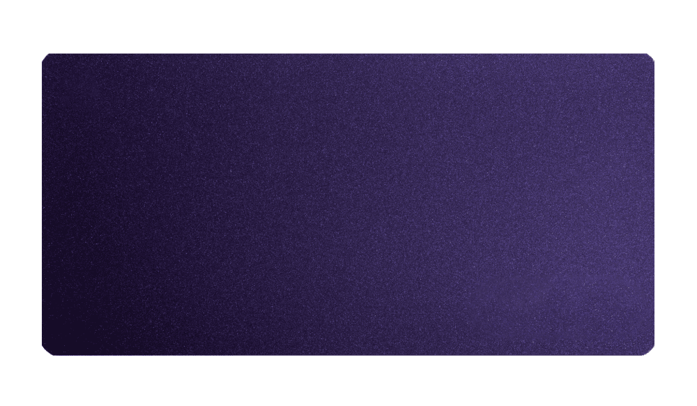 Mountain Aster Purple - Image 2