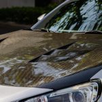colored paint protection film